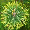 풍각초등학교 이미지