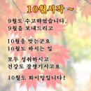 제236차 경남 울산 울주군 밀양 "배내고개~능동산(983m)케이블카 상부~얼음골주차장" 산행 공지의 건! 이미지