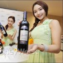 롯데와인신세계강남점 동행미디어 시대