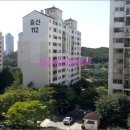세안이비인후과의원 네이버블로그