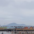 거제비치블루애견펜션 이미지