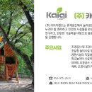 서선초등학교 이미지