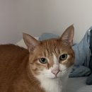 라쿵푸마라탕 명지점 | 화내지않기