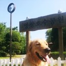 속초산책