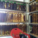 네바퀴카센타 이미지