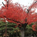 구지공원 이미지