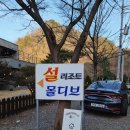 남이섬설리조트4 이미지