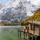 Lion PC Cafe 이미지