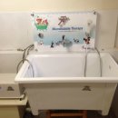 아지발바닥 이미지