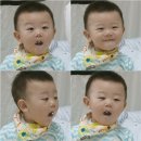 대박 티브이데일리