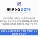 위기브 고향사랑기부제 10만원 기부하고 돌려받은 후기