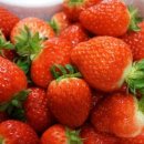 현이농장 이미지