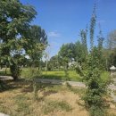 구의공원-2 이미지