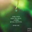 💌 인생은 선택의 연속입니다. 이미지