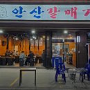 안산갈매기 이미지