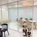 샵더이쁨 이미지