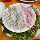 제주성산해마루&쌈총사횟집 | 제주 성산 해마루&amp;쌈총사횟집 쌈총사 스페셜회 후기