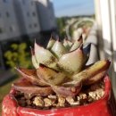 현이네 슈퍼 이미지