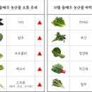부산농산 네이버블로그