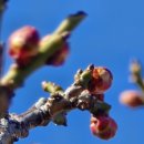 김해건설공업고등학교 이미지