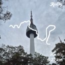 순환로3 | [마라톤 도전기] #4 남산 북측 순환로 러닝 + 러닝 한달 후기