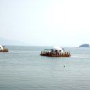 유동어촌체험휴양마을 이미지