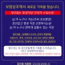 보람상조애니콜 이미지