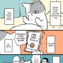 야옹야옹 이미지