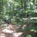 표교초교 이미지