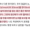 매혹, 고혹, 미혹... 이게 이런 뜻이었어? 이미지