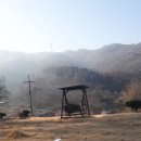 크러쉬 푸들 이미지