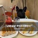 쓰리씨투어