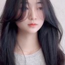 용산-275 이미지