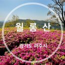 시민공원 화장실 이미지