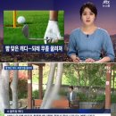 오라모텔 이미지