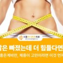 금오에이치라인