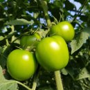 자경농장 이미지