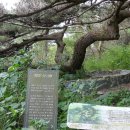 팔당역 예봉산[팔당-3] 이미지