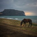 신양섭지코지해변 이미지