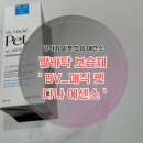 [보미의 일상] 강아지 발바닥 보습제 추천 - 촉촉한 에센스 ‘ BV_매직펫 다나 에센스’ 후기