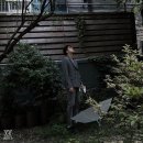 비라비 이미지