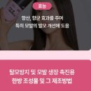 (주)마야헬스케어 | 남성탈모방지트리트먼트 농협헬스케어 팝업트리트먼트 사용후기