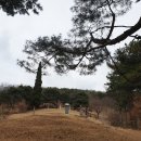 이백지 묘 네이버블로그
