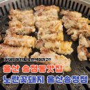 언제나꽃돼지 | 울산 송정동맛집 노란꽃돼지 울산송정점 쌩리얼 후기