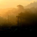 녹색농원 이미지