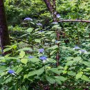 쌍용지하도2 이미지