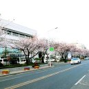 덕진구청 이미지