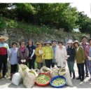 이두수 농장 이미지