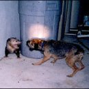 상상플러스 이미지