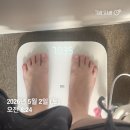 마운자로 한 달 차 후기